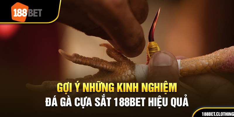 Gợi Ý Những Kinh Nghiệm Đá Gà Cựa Sắt 188BET Hiệu Quả